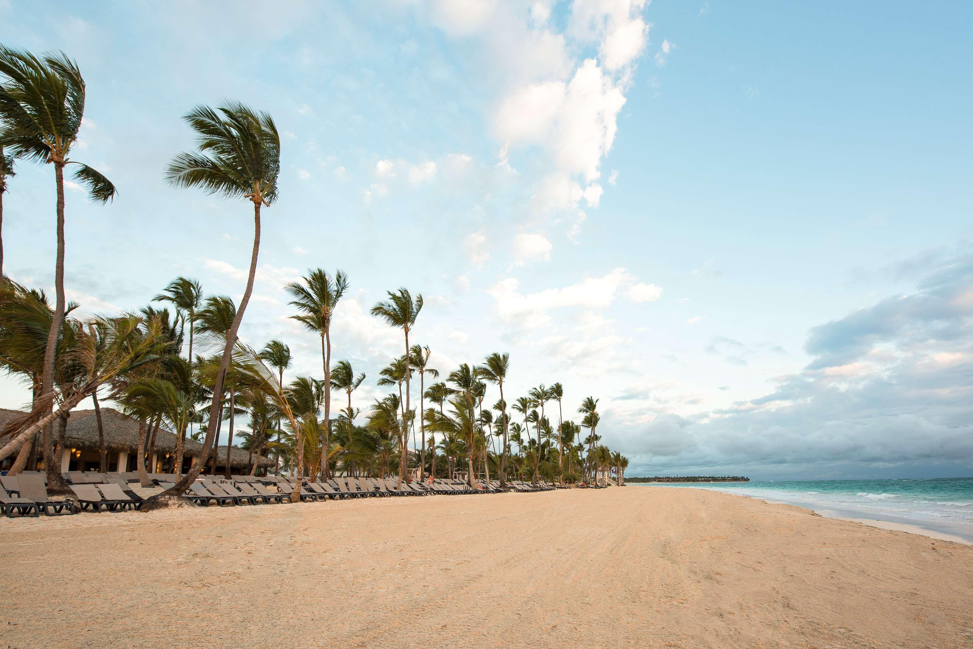 Occidental Punta Cana - All Inclusive Resort - Barcelo Hotel Group Newly Renovated Esterno foto Beach at Hard Rock Hotel & Casino Punta Cana